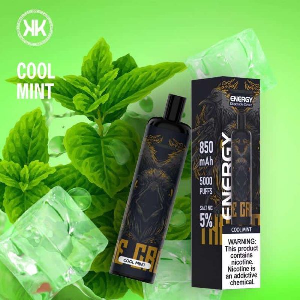 ENERGY 5000 Puffs Cool Mint