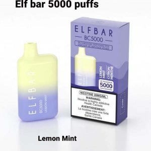 Elf Bar Lemon Mint 5000 Puff