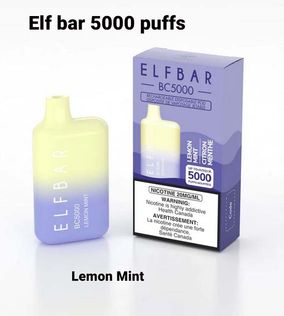Elf Bar Lemon Mint 5000 Puff