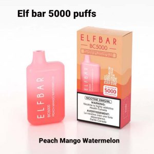 Elf Bar 5000 Puff Disposable Vape