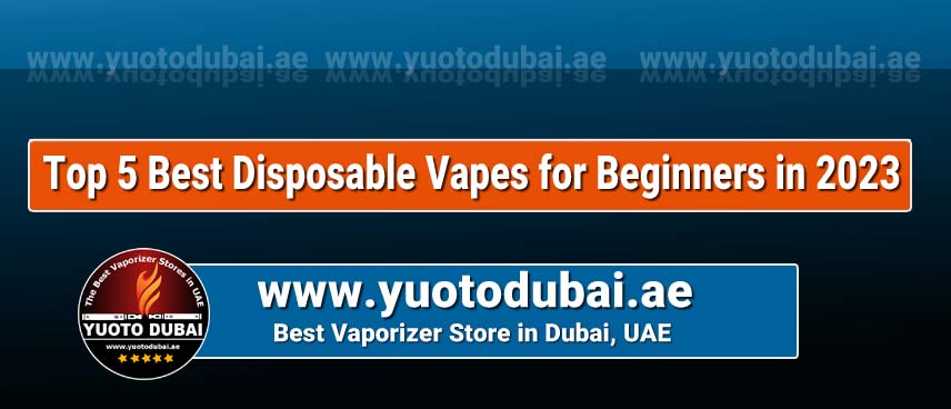 Top 5 Best Disposable Vapes for Beginners in 2023
