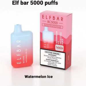 Elf Bar Watermelon Ice 5000 Puffs